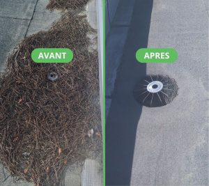 Photo de l’E.P avant et après l’intervention d’entretien