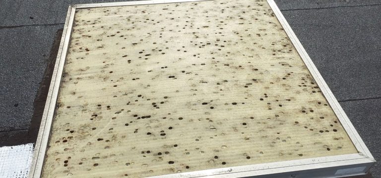 Dégâts de grêle sur une voûte zénithale