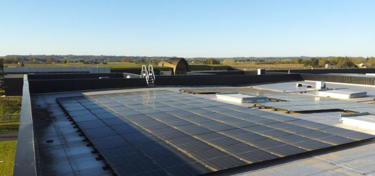 Panneaux photovoltaïques sur un toit terrasse d’entreprise